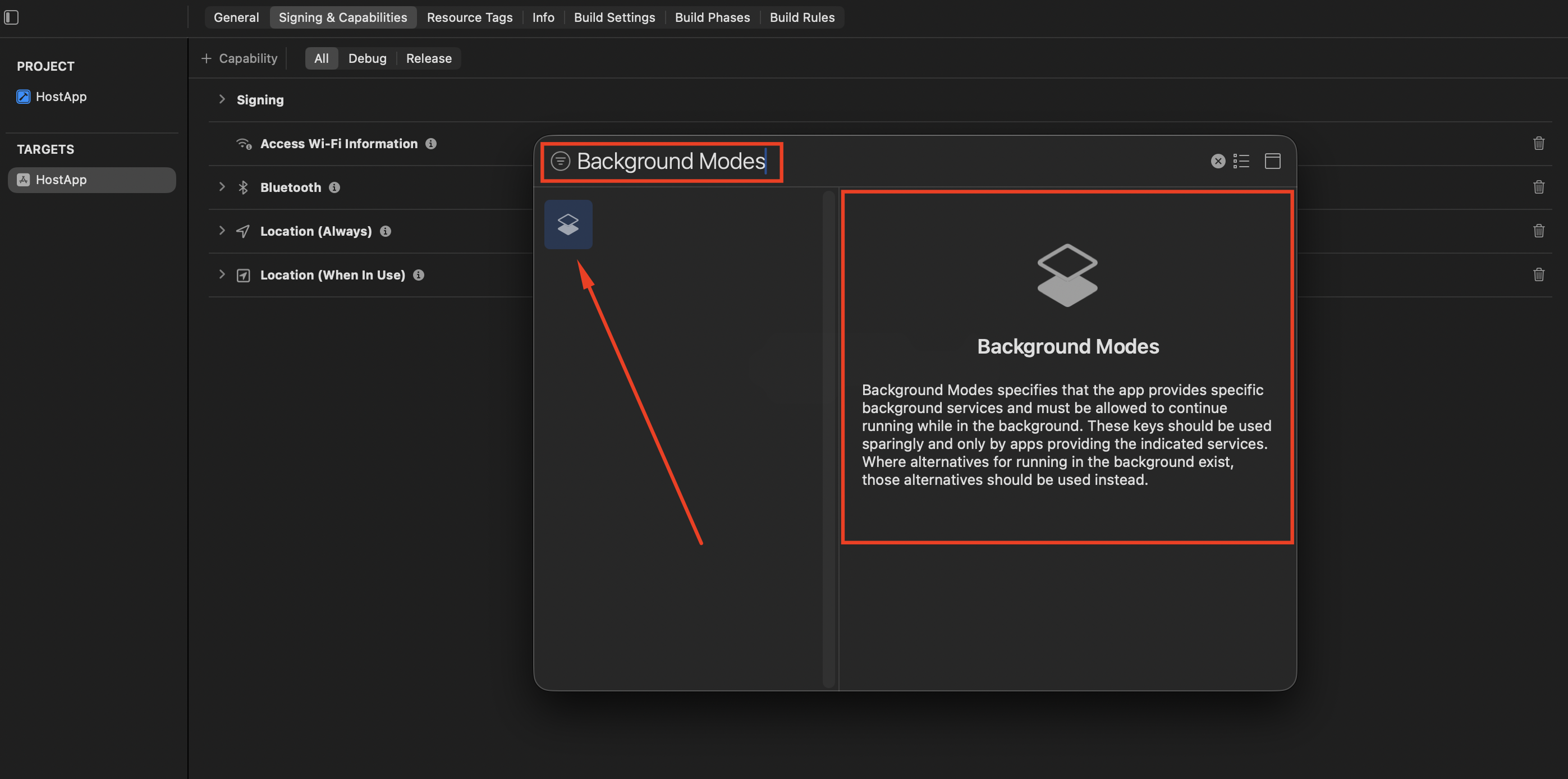 IMG-21 — Background Modes capability in the Host App